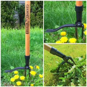 Expert Gardener Weeder Black & Yellow 43 inch for Taproot Plants